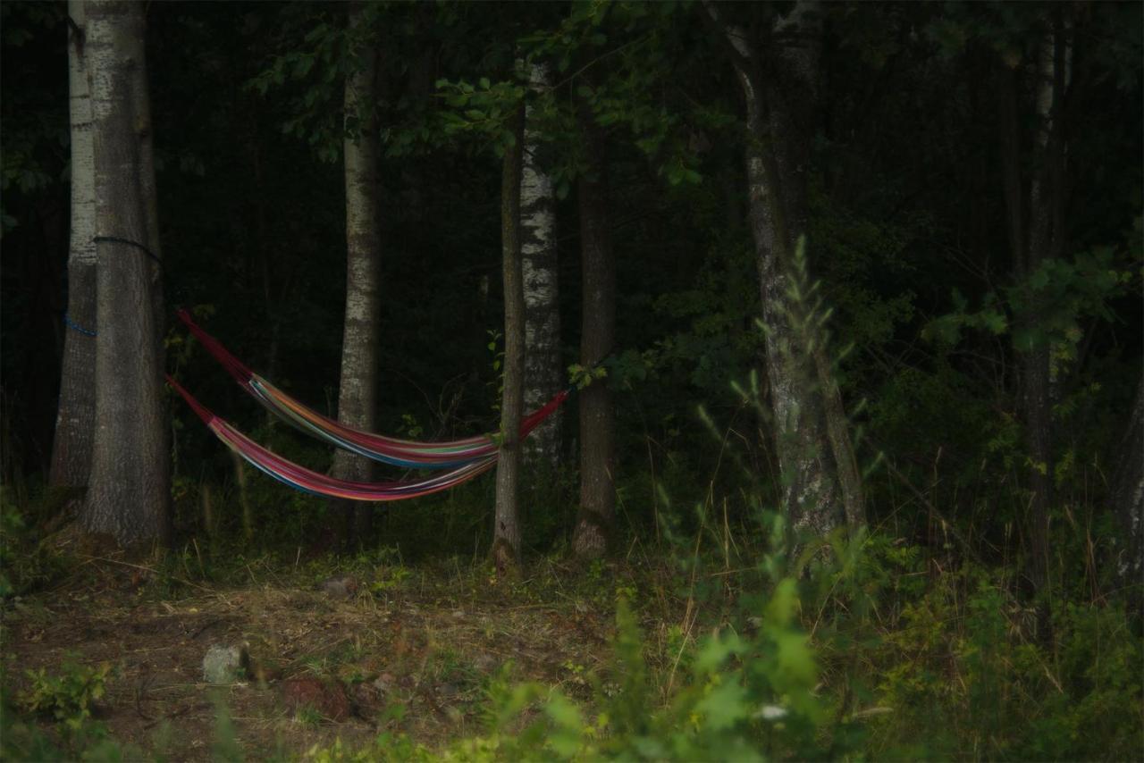 Rent A Tent - Namiot W Praekologicznym Gospodarstwie Pozezdrze Eksteriør billede